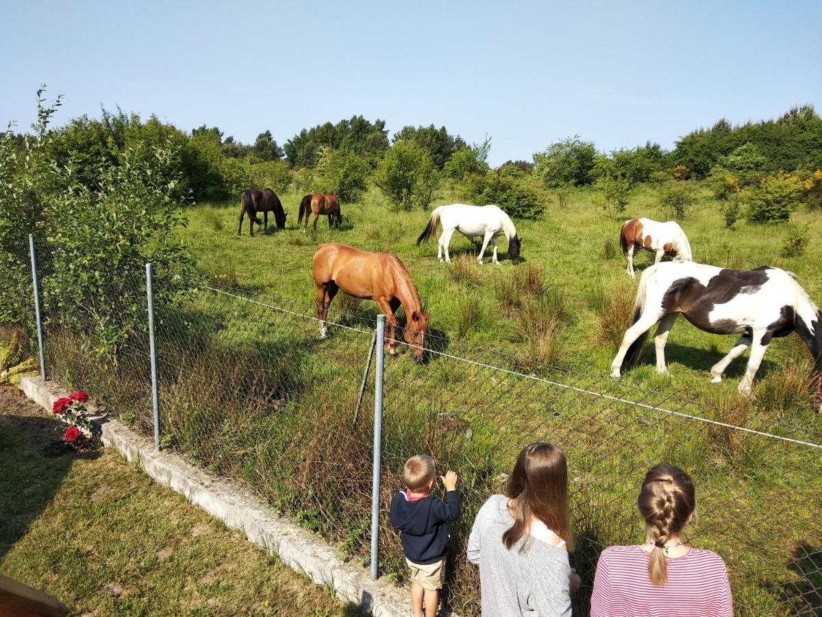 Lawendowa Willa Władysławowo Buitenkant foto