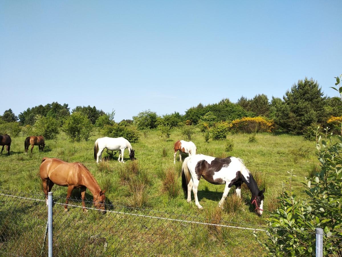 Lawendowa Willa Władysławowo Buitenkant foto